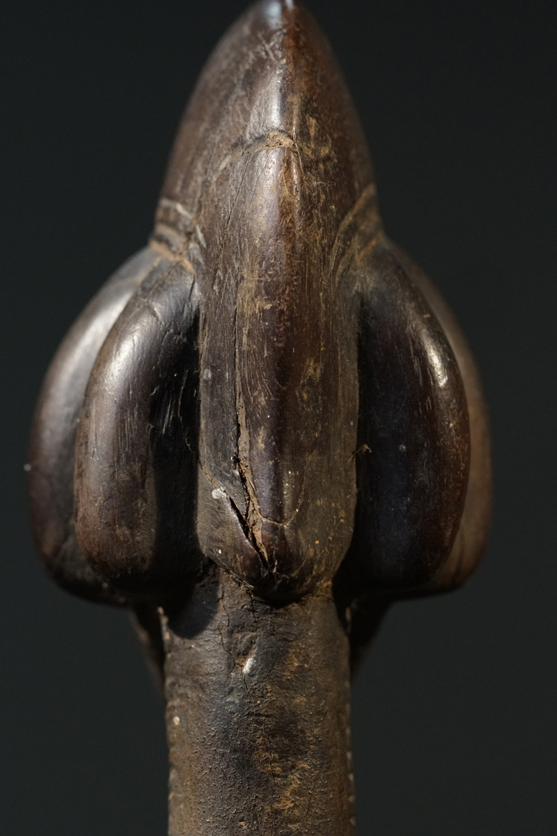 GSC03376