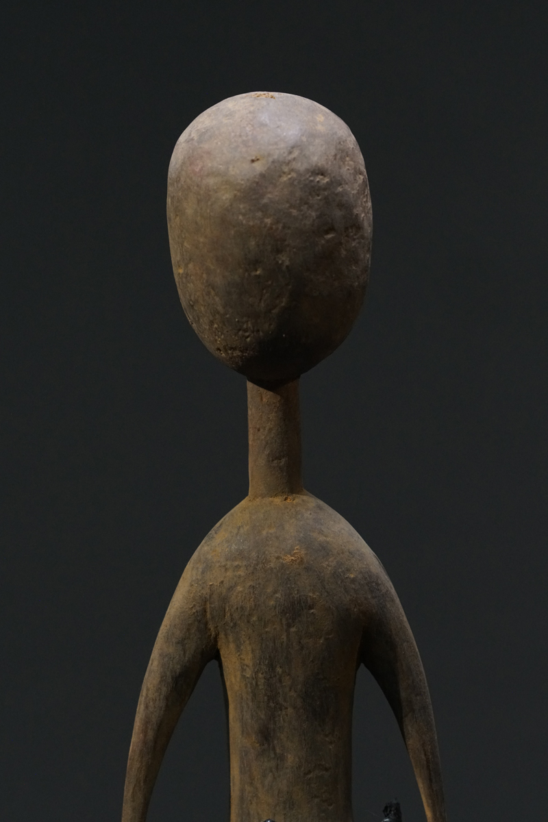 GSC03742