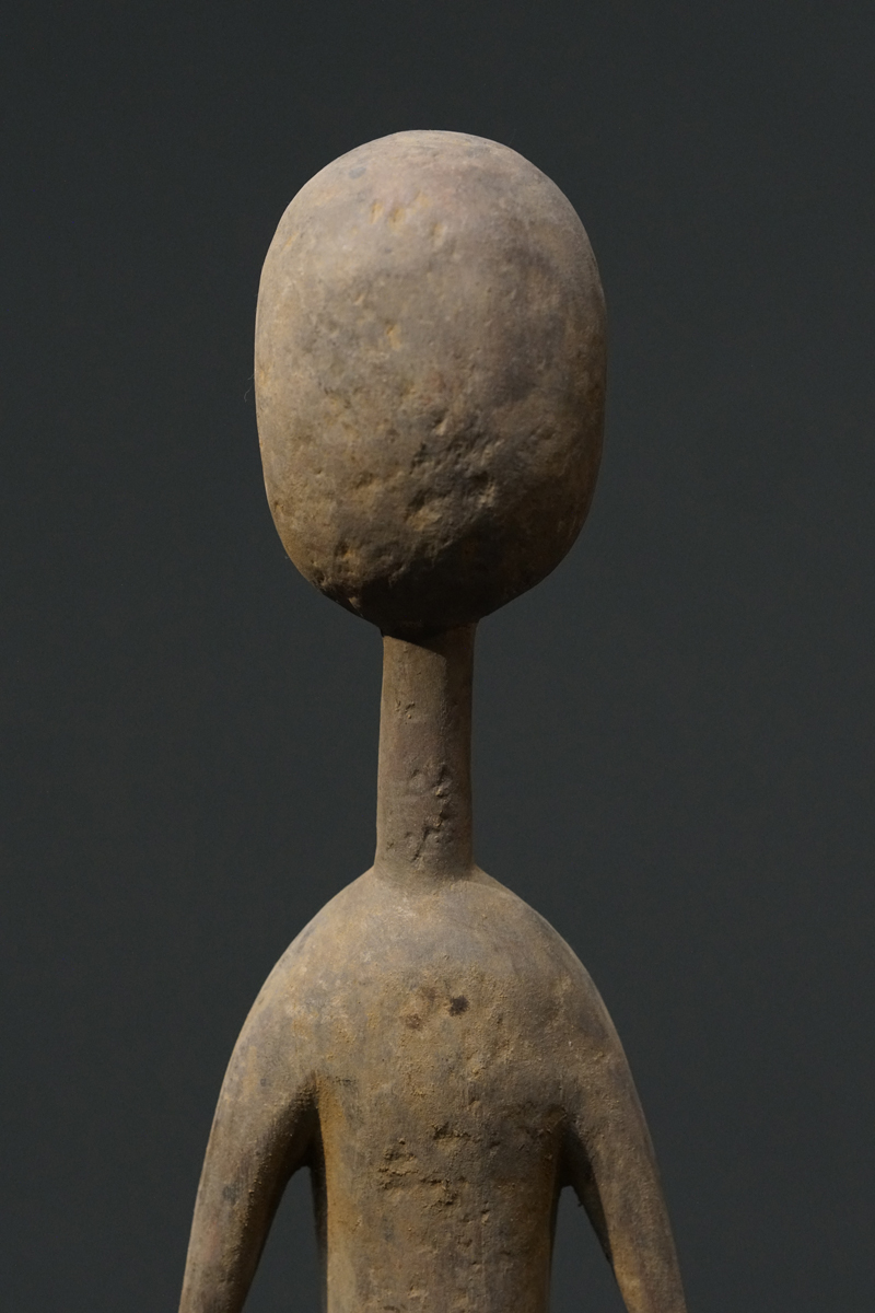 GSC03842