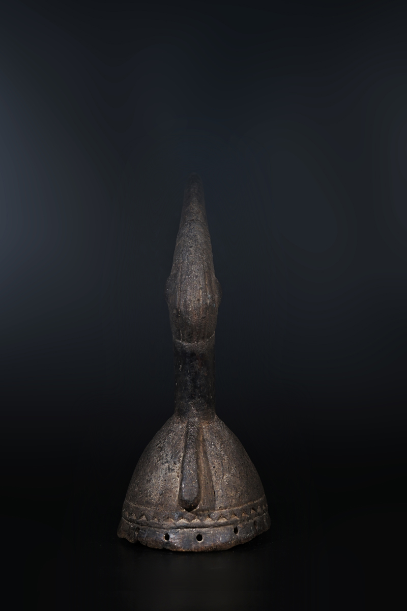 FXP06568