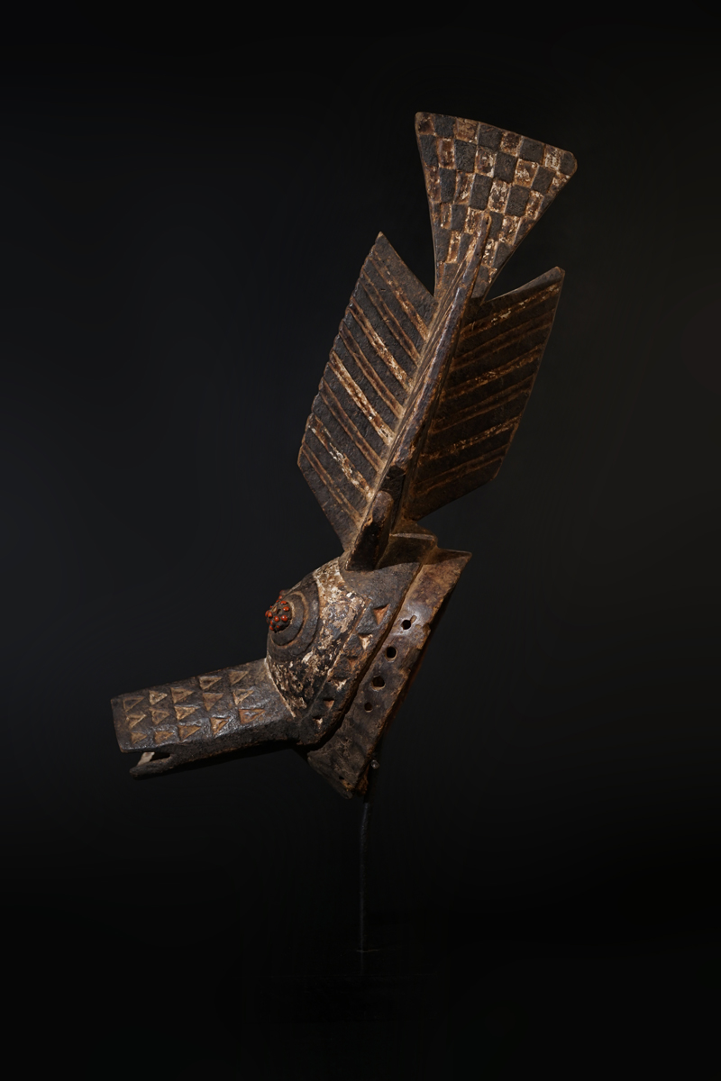 FXP03565