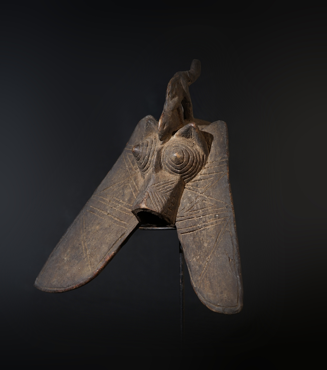 FXP03698