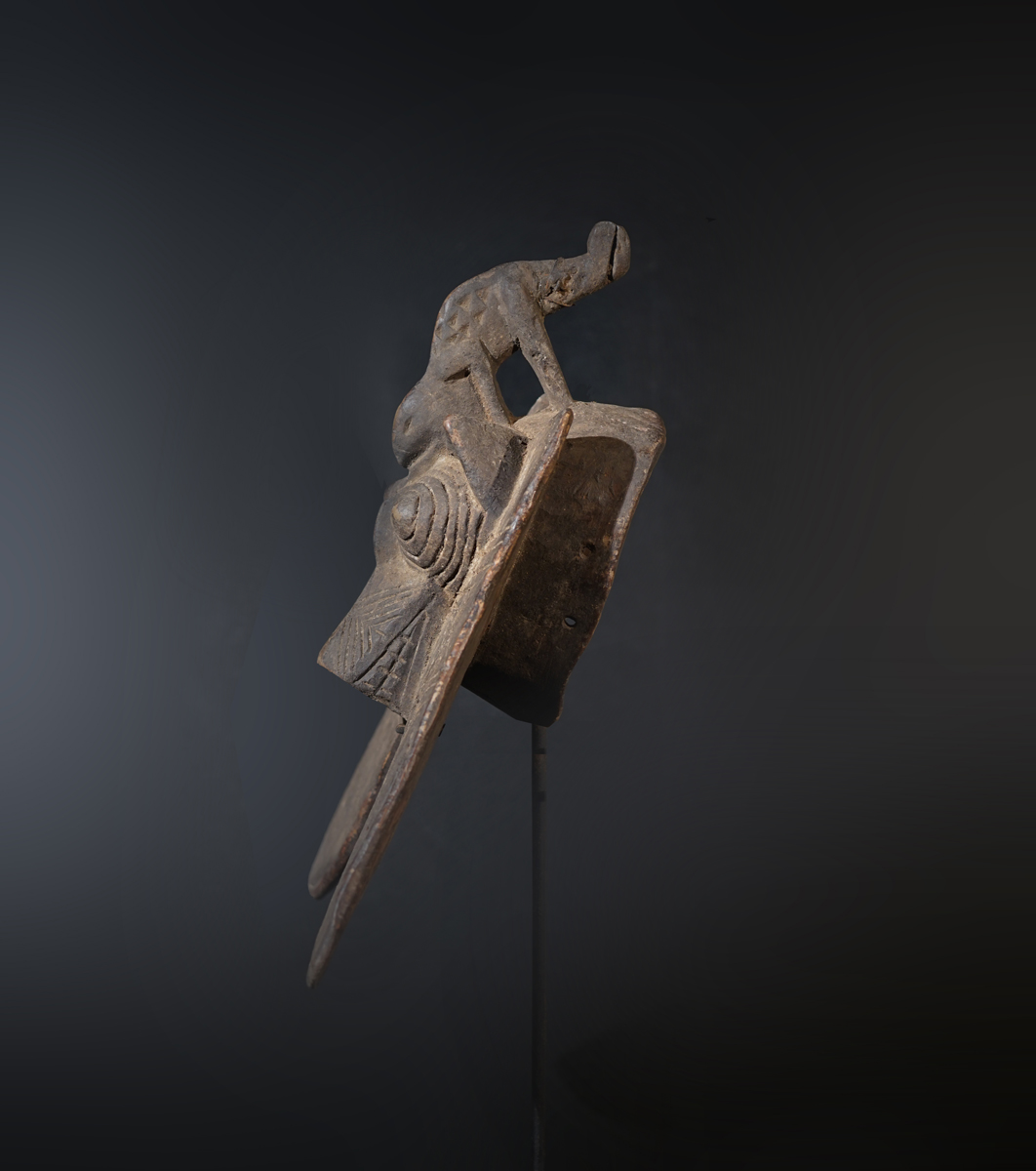 FXP03703