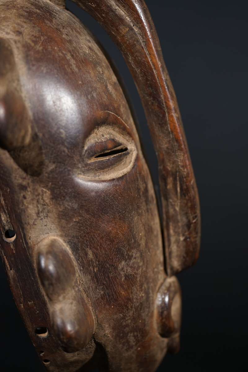 FXP04352