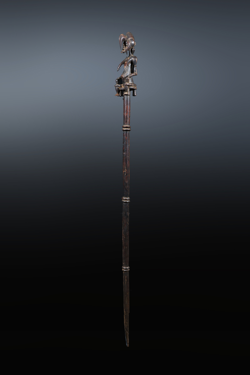 FXP07484