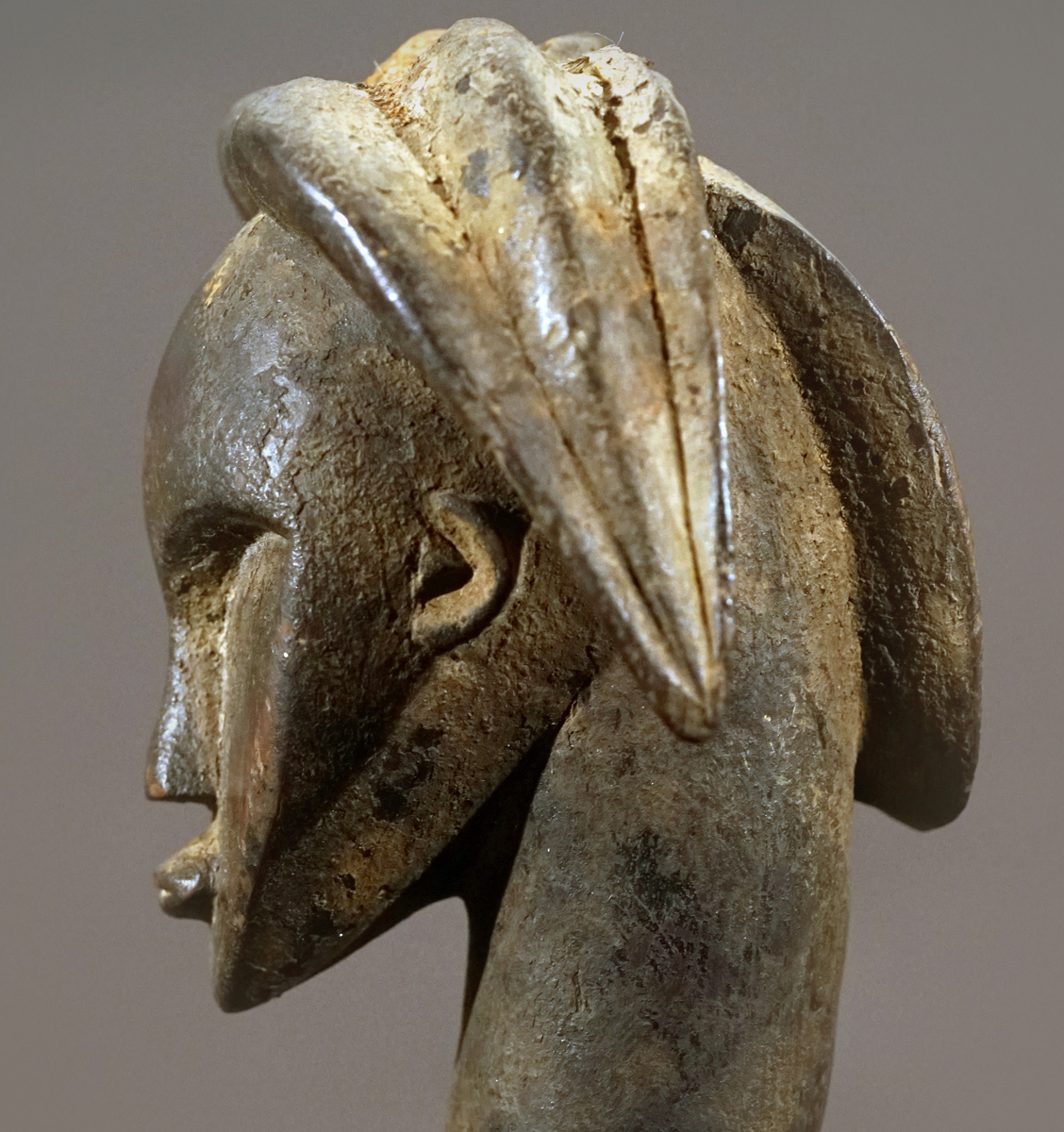 DSC09984-1