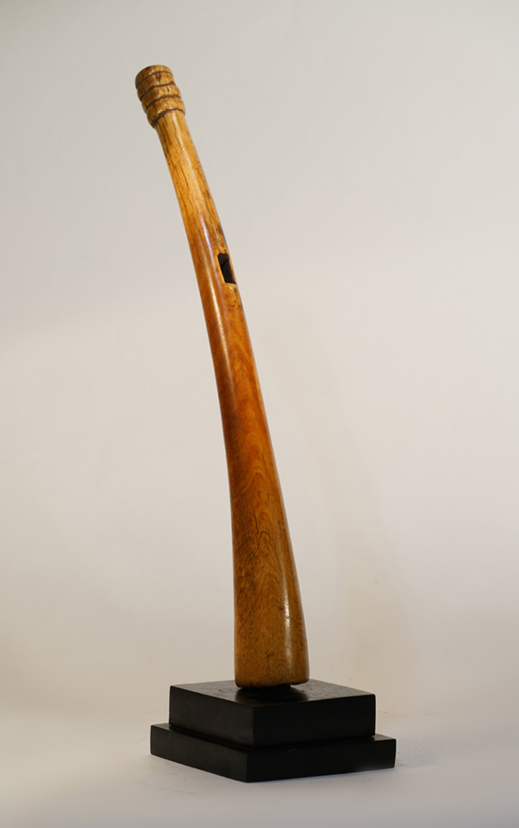 DSC06129