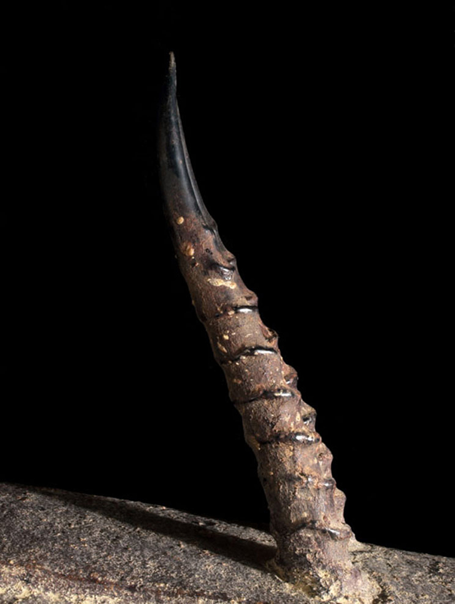 P6218692