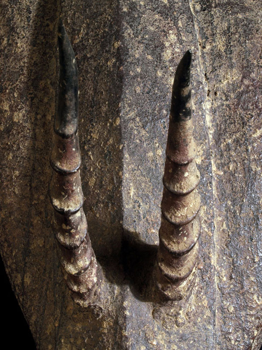 P6218716
