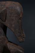 FBG00559
