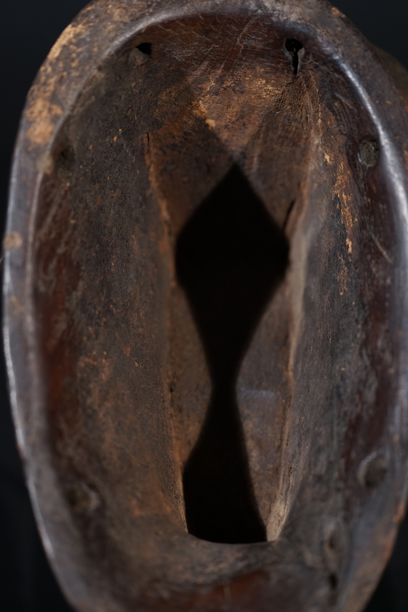 FBV00390