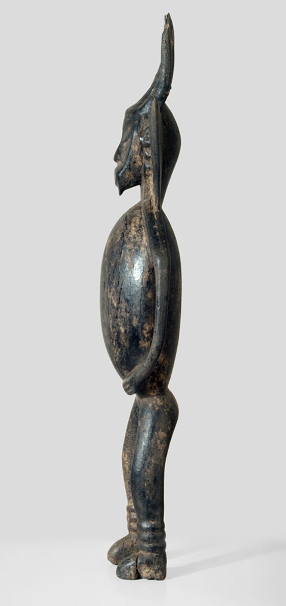 P5119822