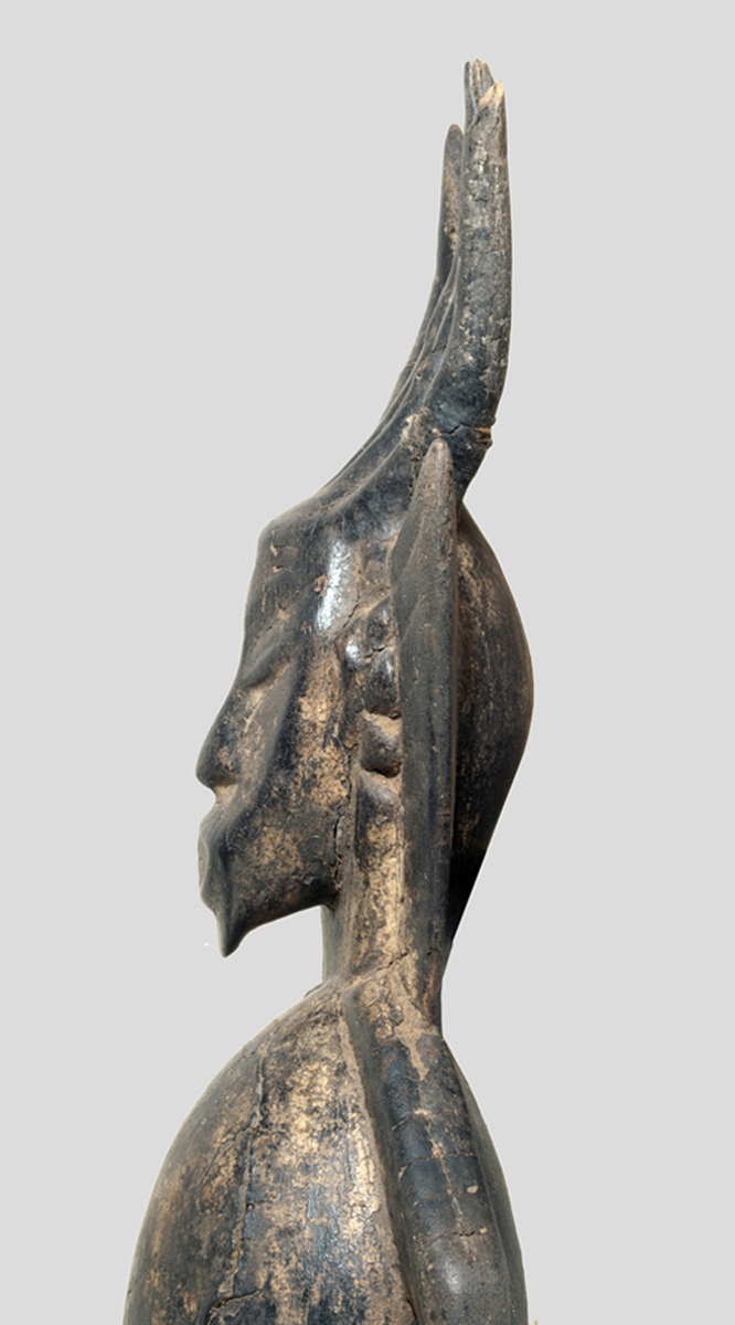 P5119839