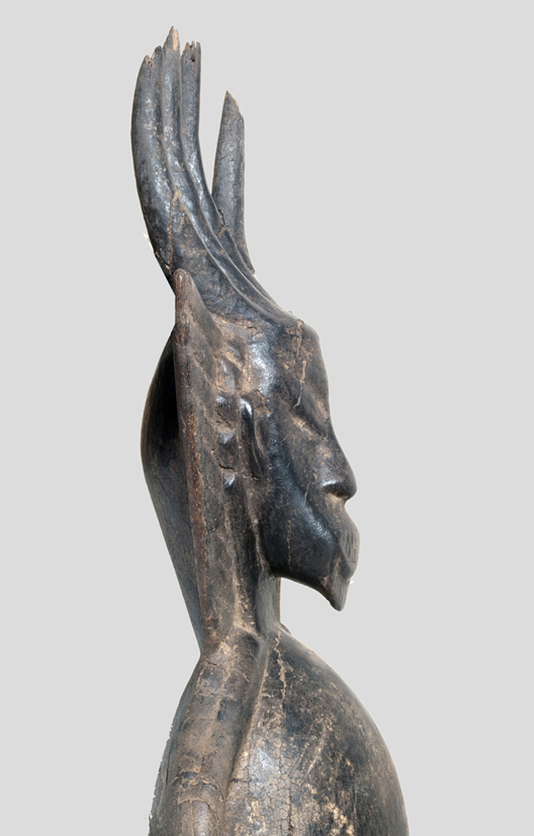 P5119848