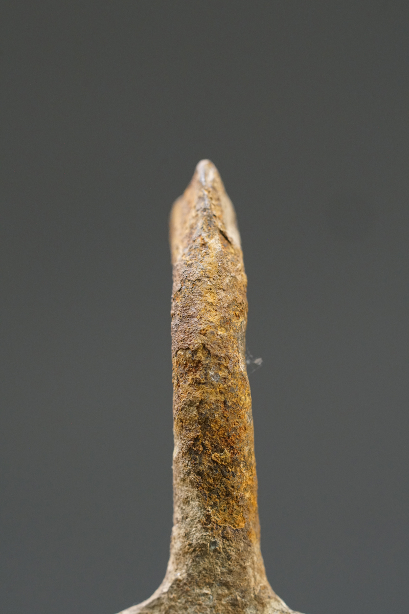 DSC08669