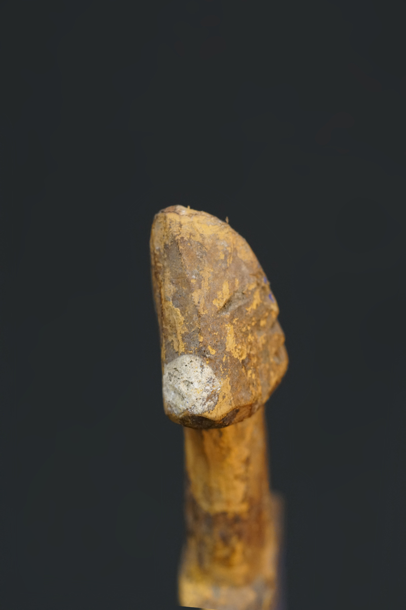 DSC07720