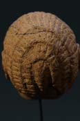 GSC08657