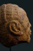 GSC08662