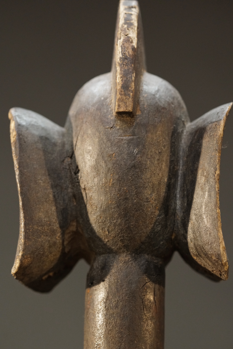 DSC04906