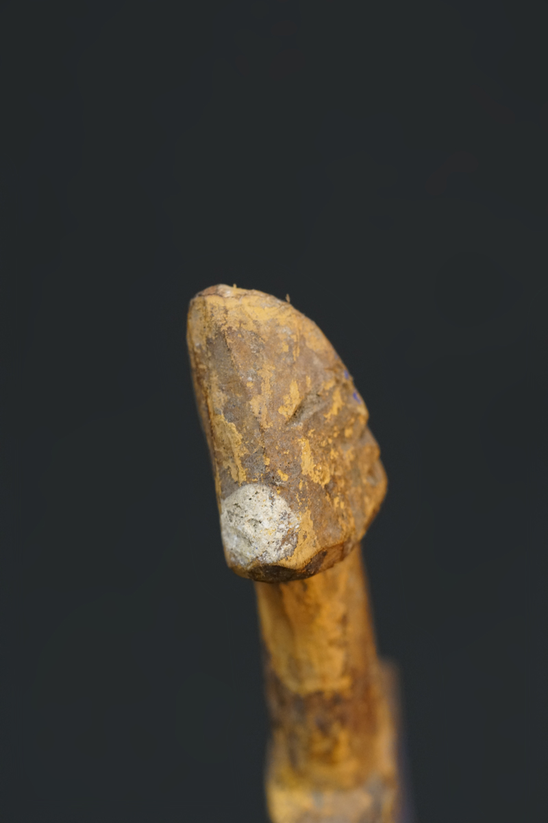 DSC07720