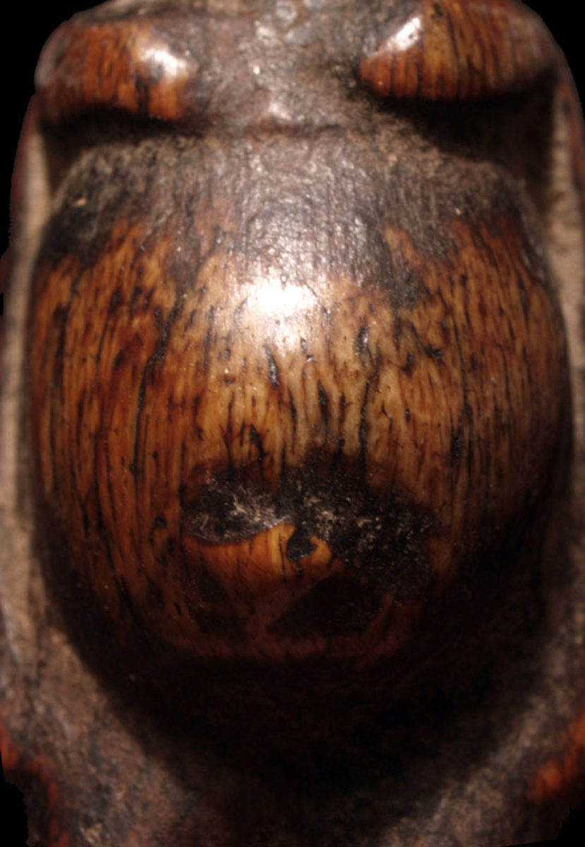 P5285529