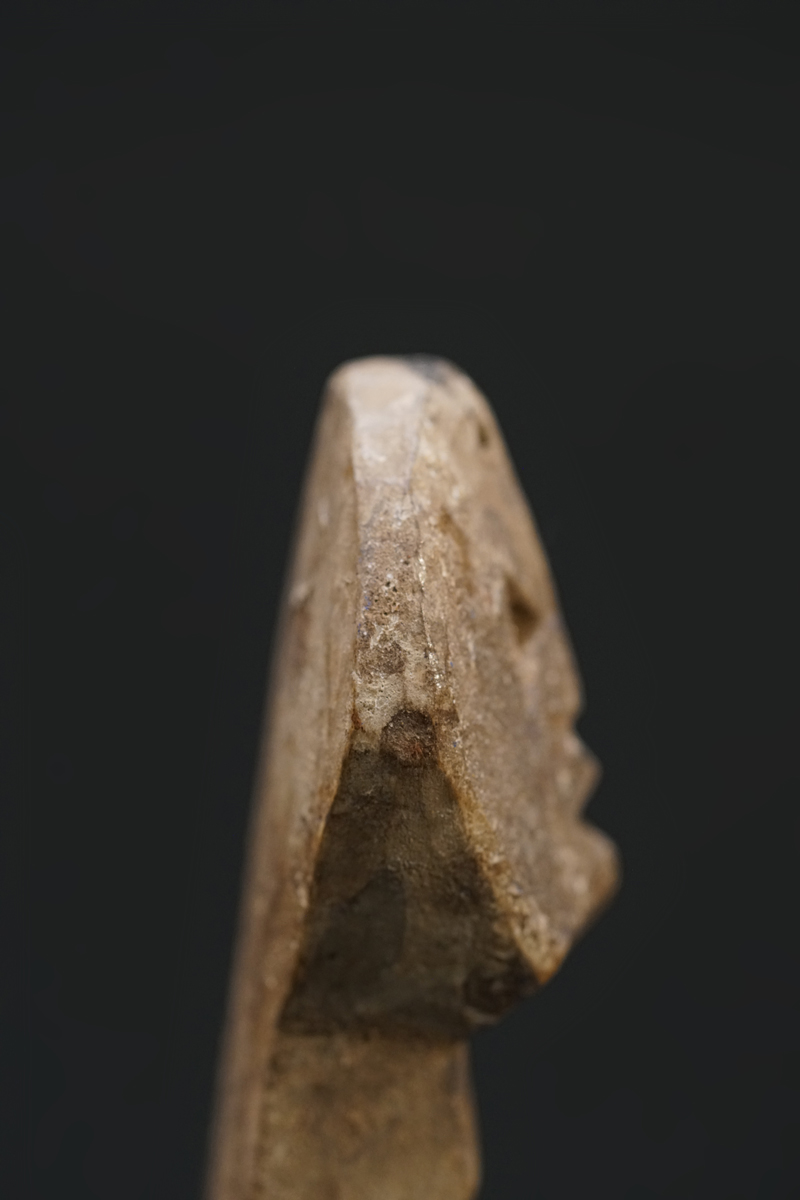 DSC04312