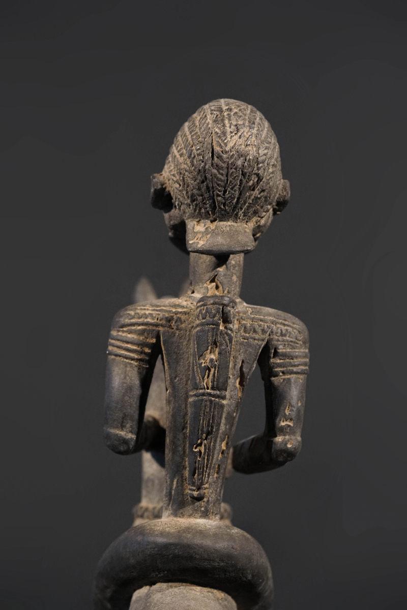 GSC02698