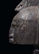 P6027894
