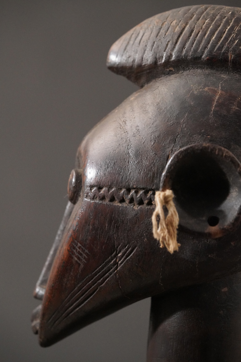 ABC06367
