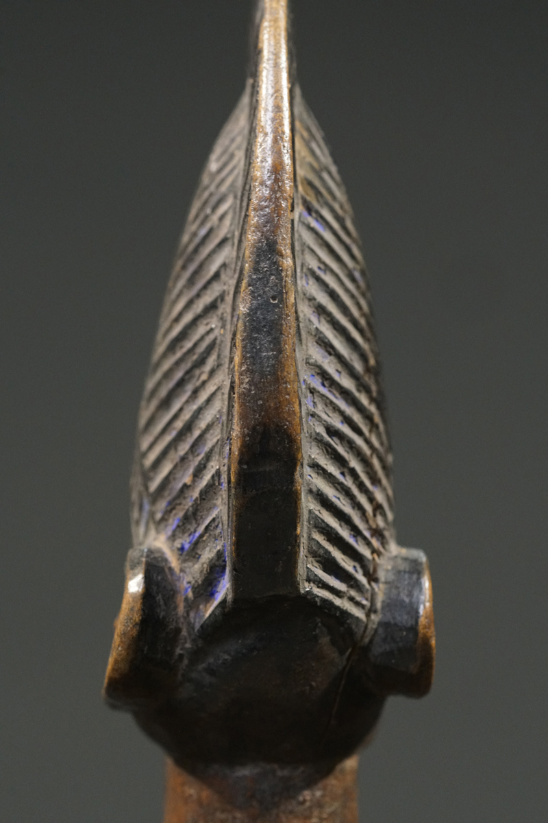 GSC05750