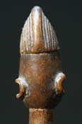 GSC00254