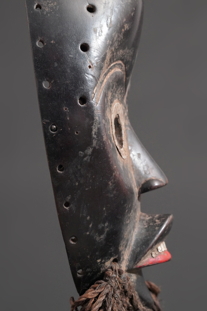 BBD002336
