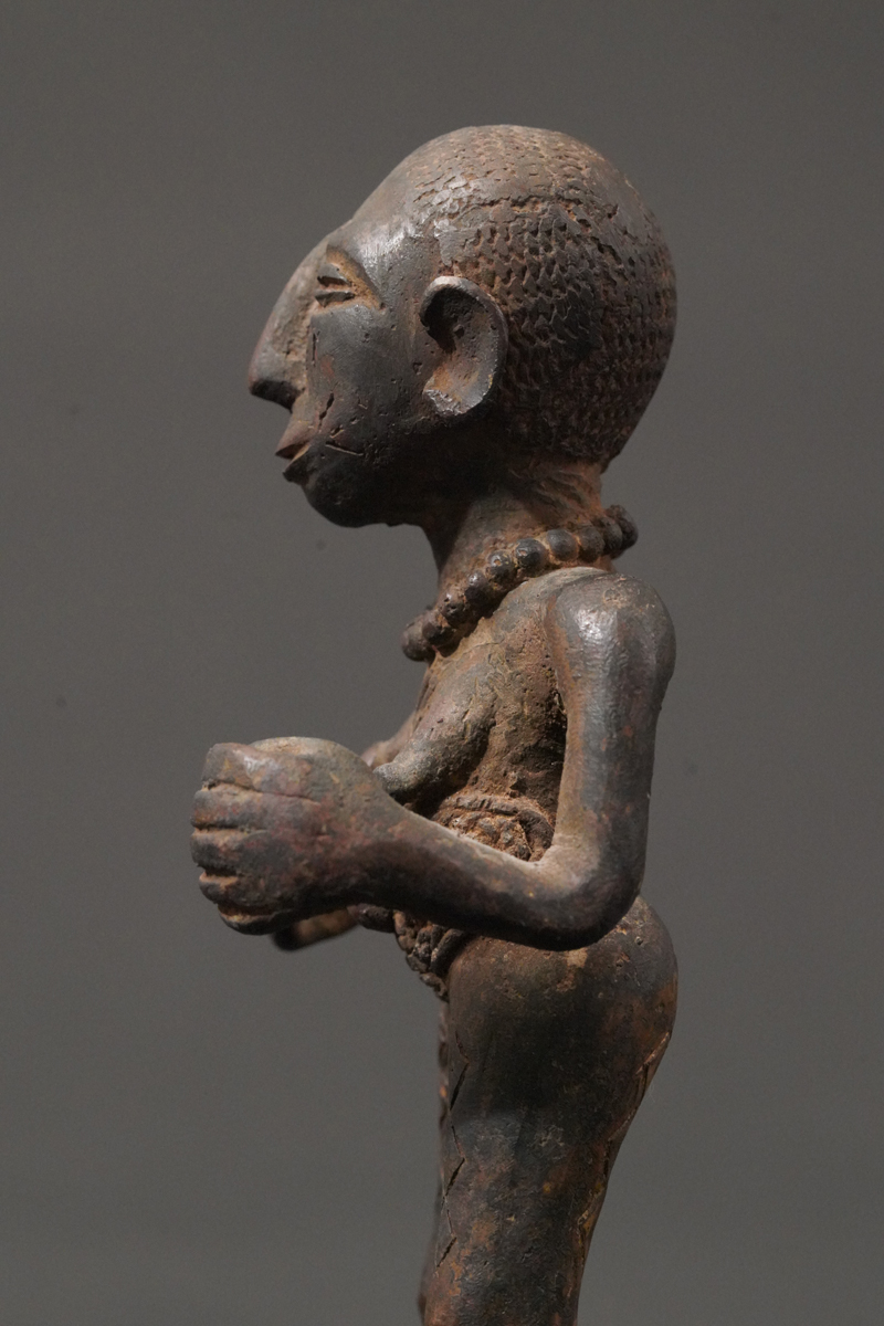 BBD002550