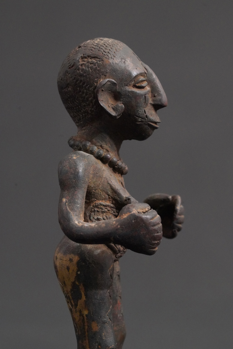 BBD002565