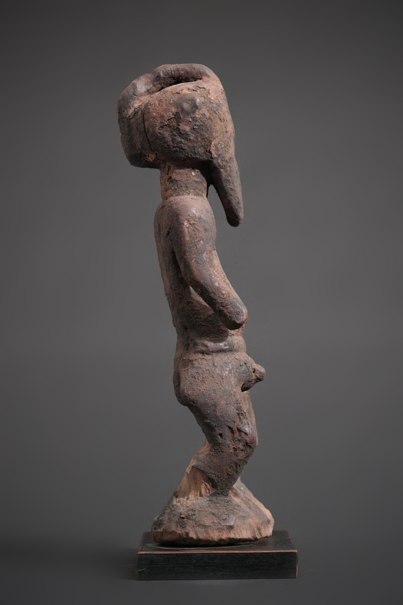 BBD003746