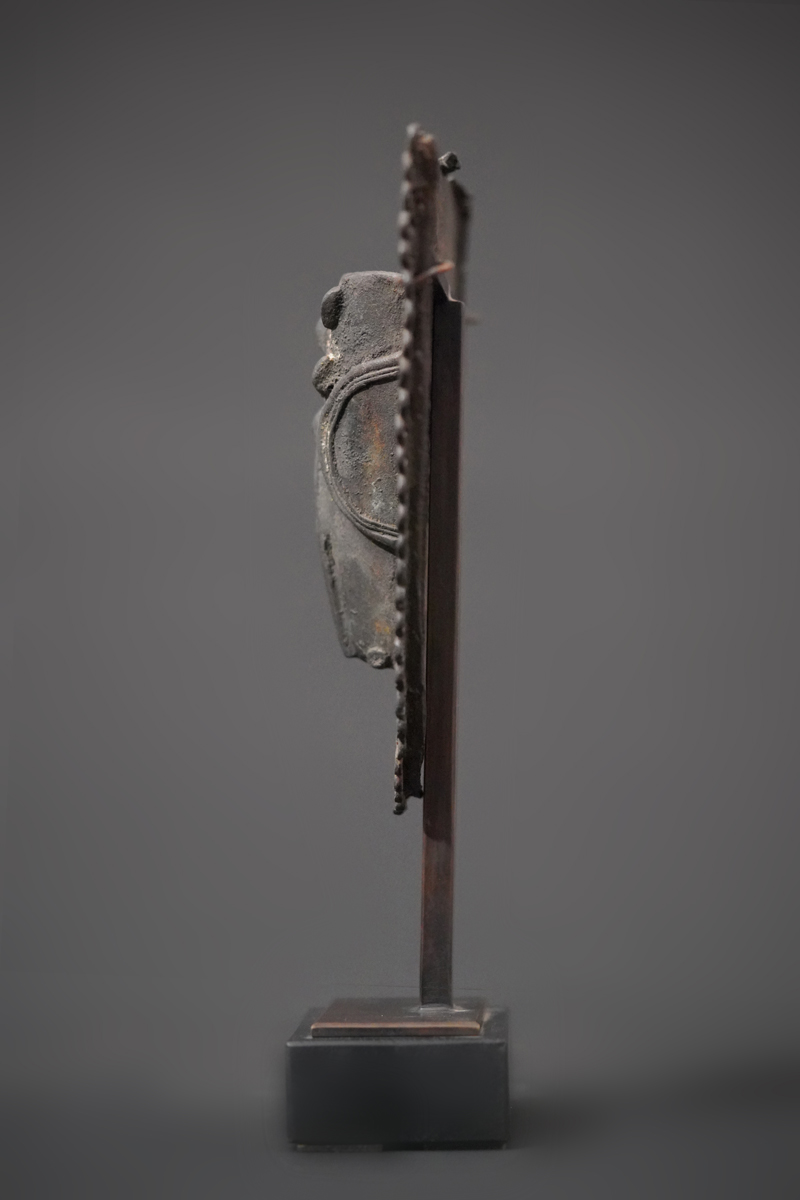 BBD003831