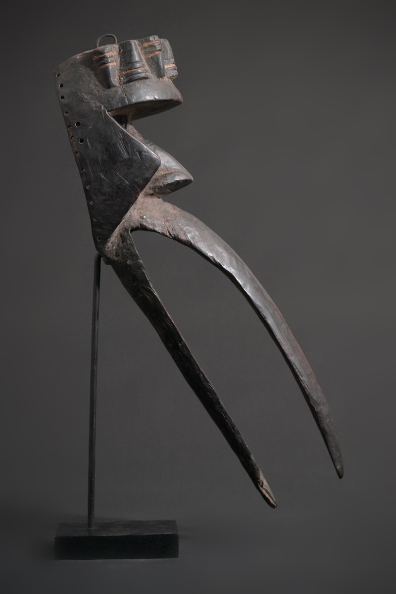 BBD004495