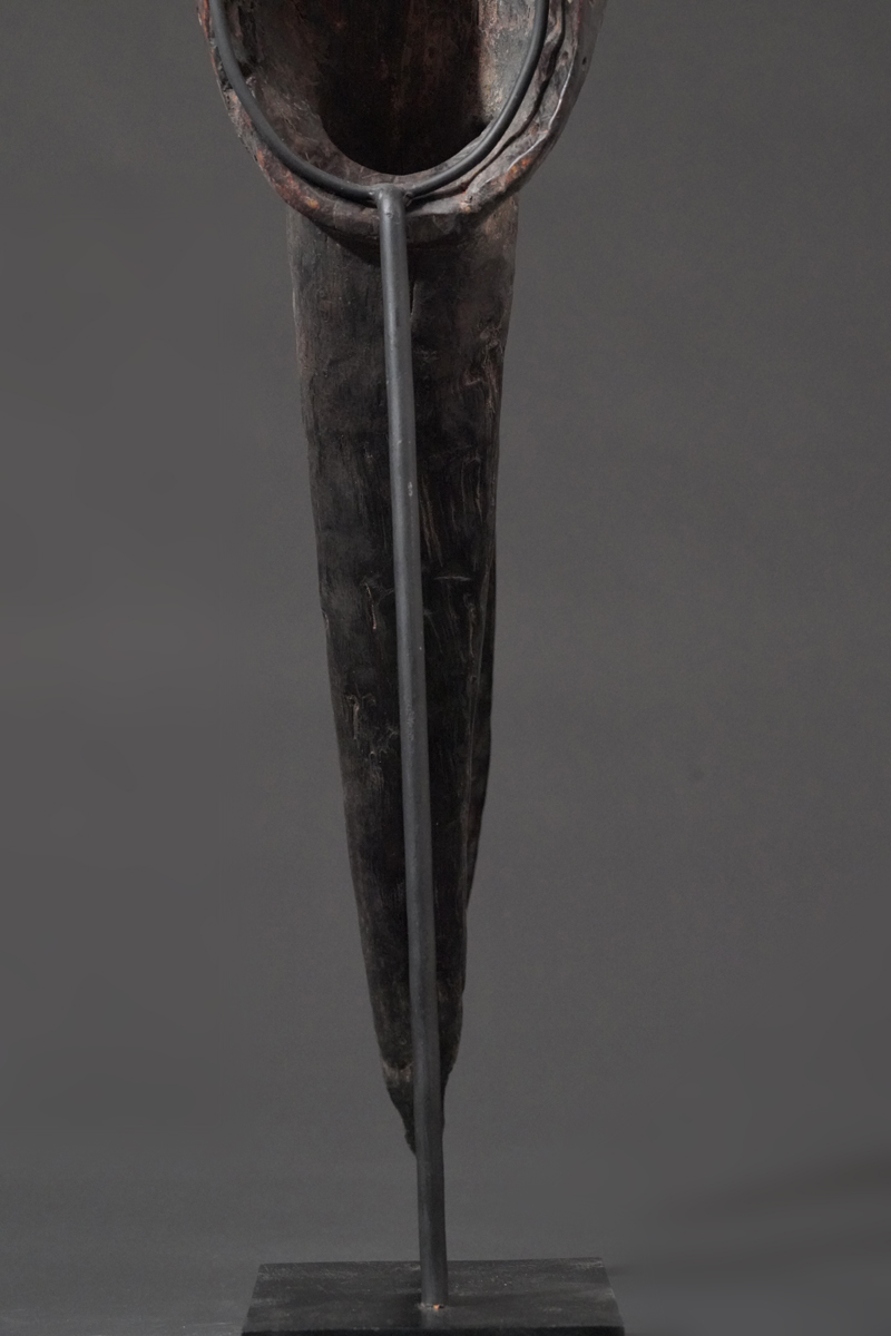 BBD004556