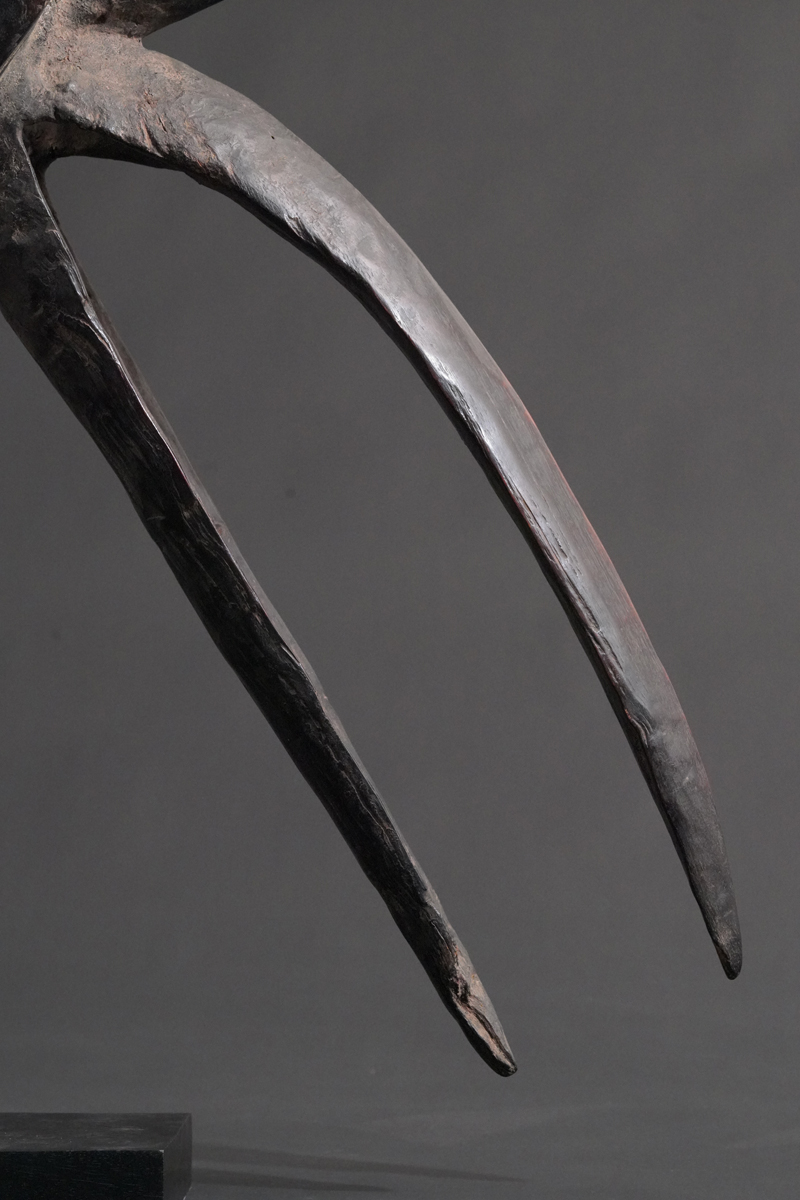 BBD004560