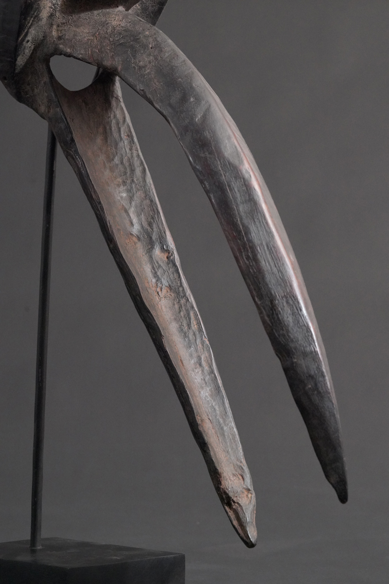 BBD004570