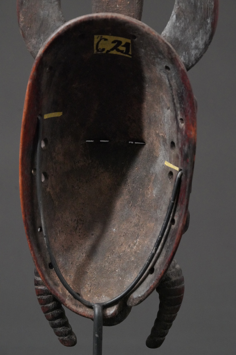 BBD004629