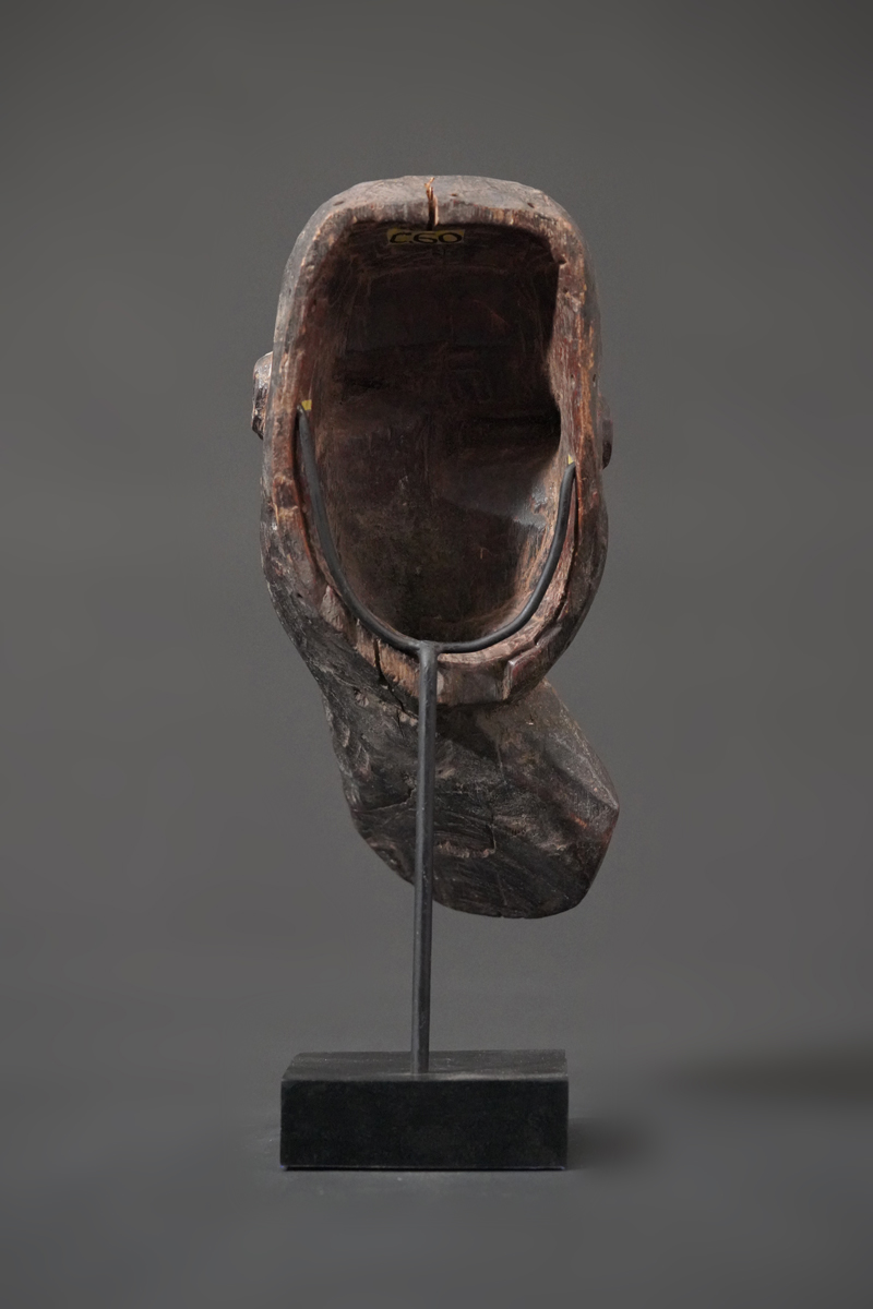 BBD004713