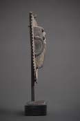 BBD003841