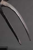 BBD004560