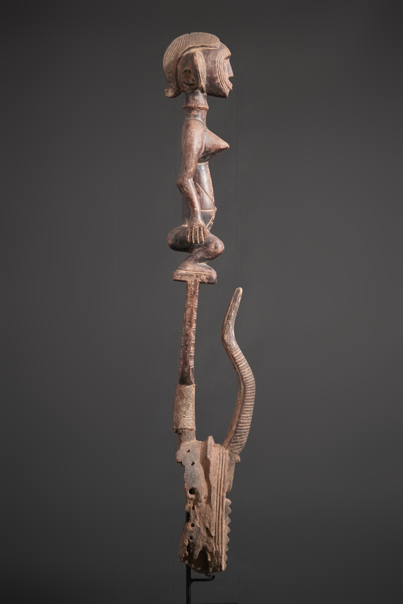 BBD011288