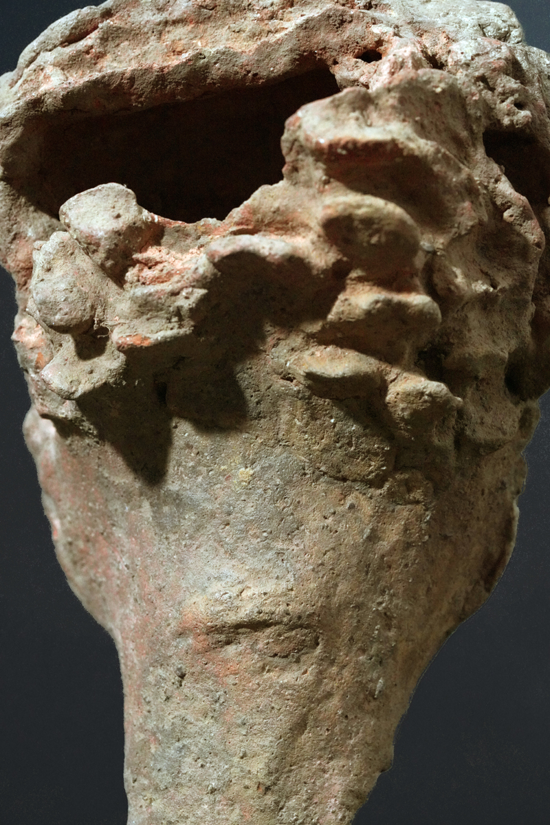 BBD013194