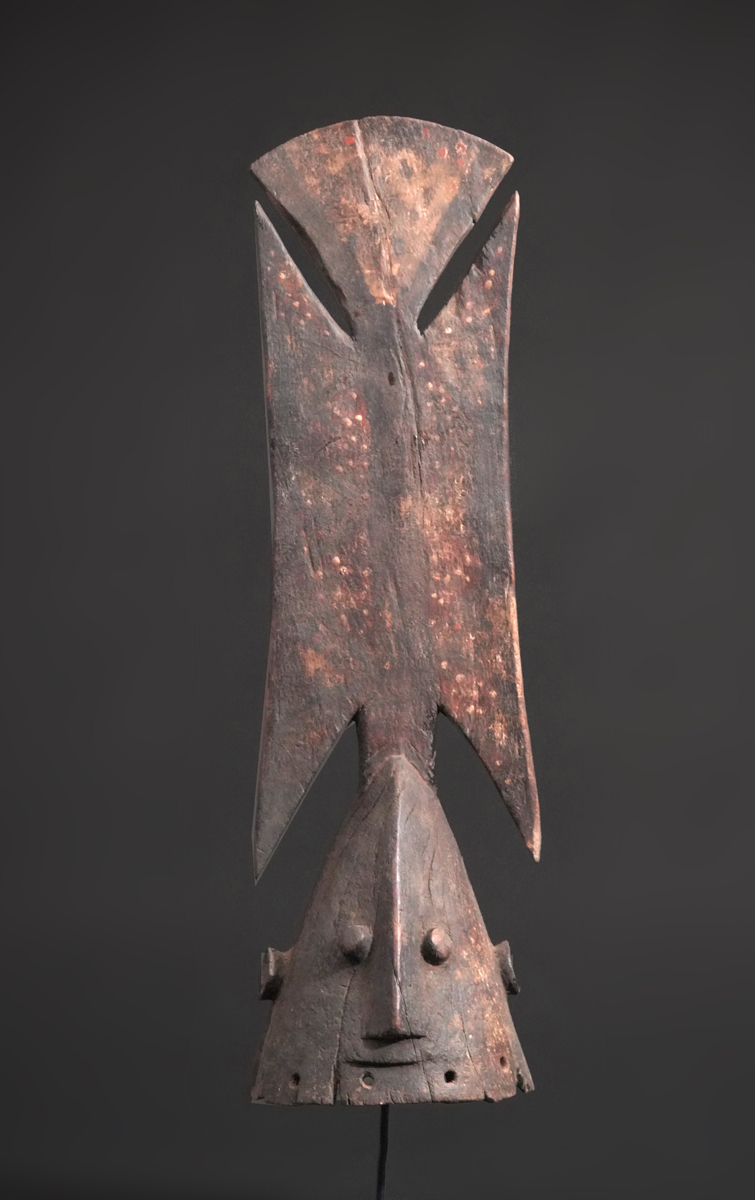BBD008231