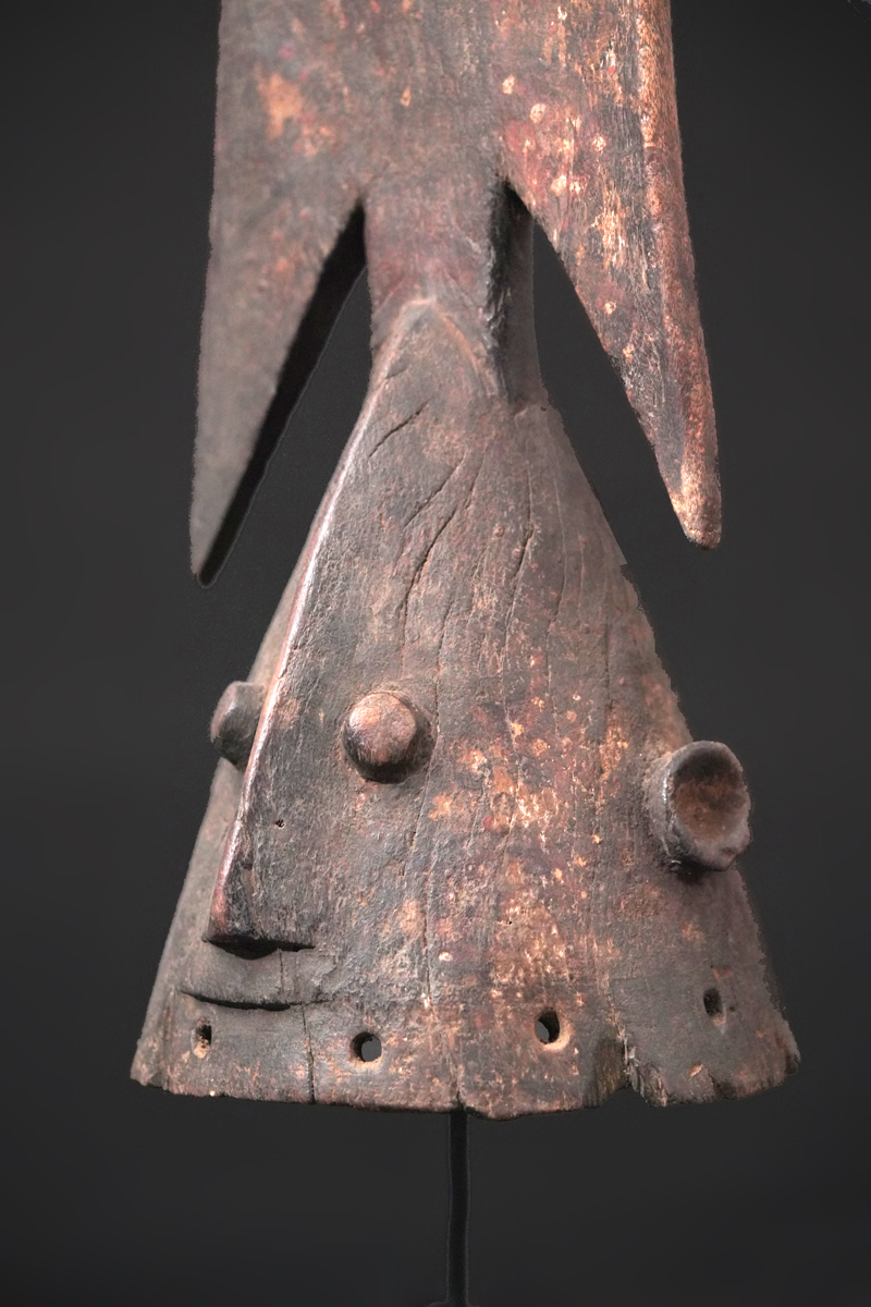 BBD008251
