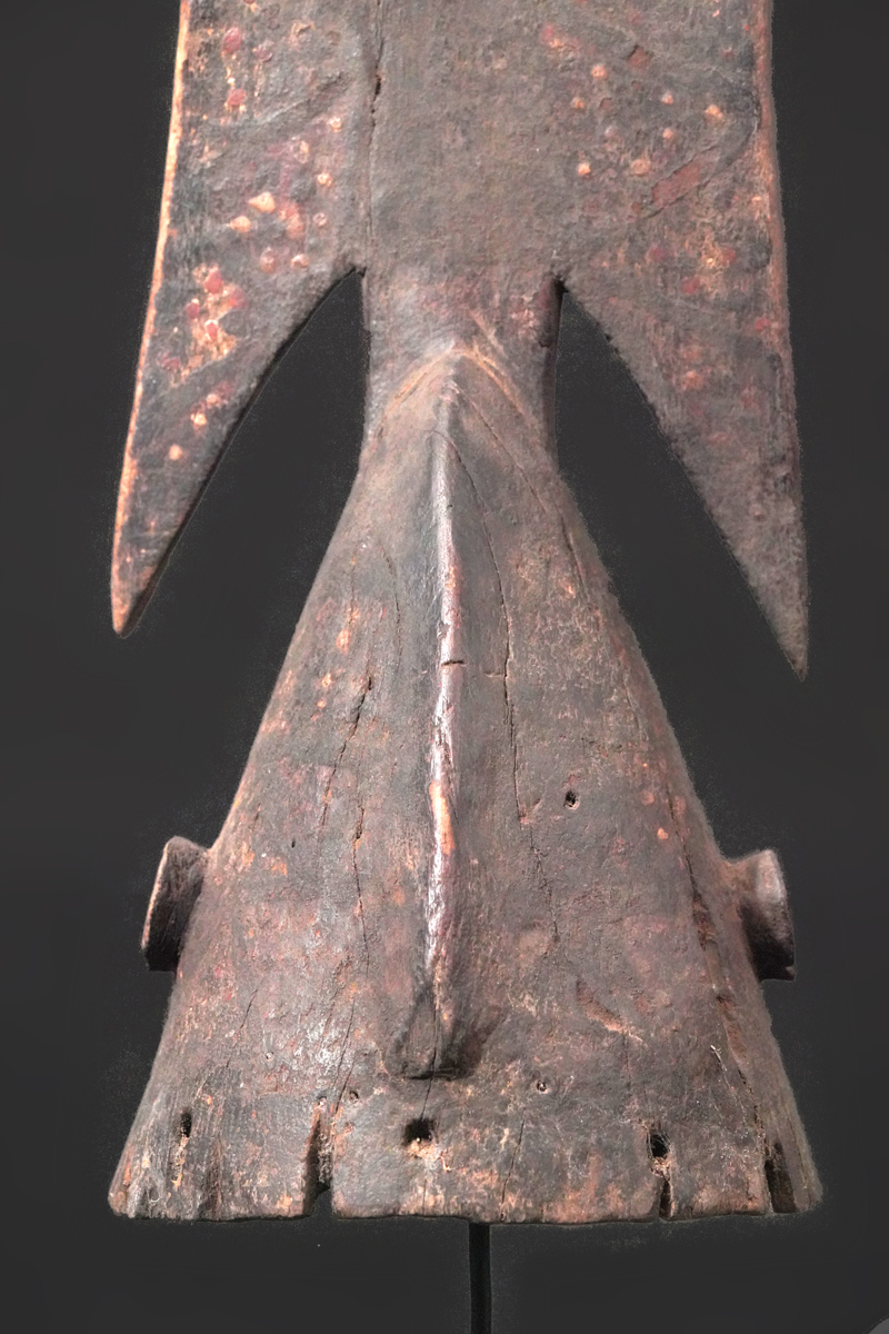 BBD008276