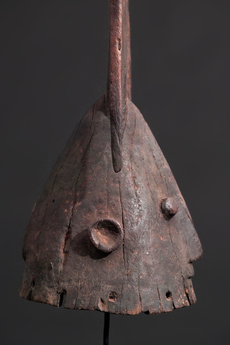 BBD008281